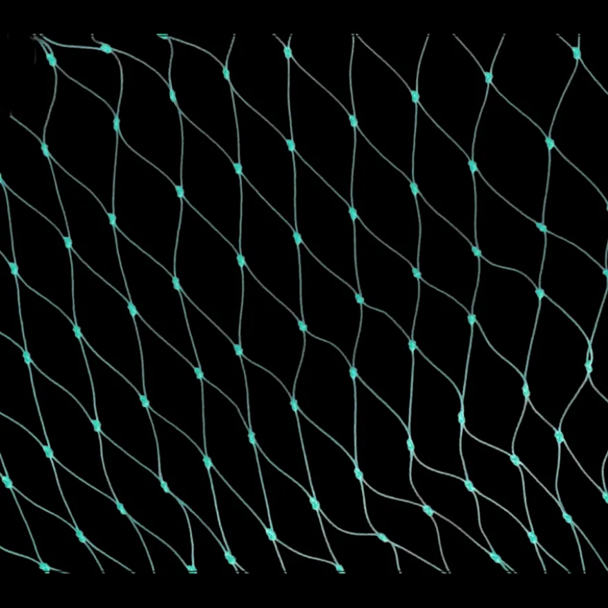 Carpoint Aanhangernet 160x250cm twisted