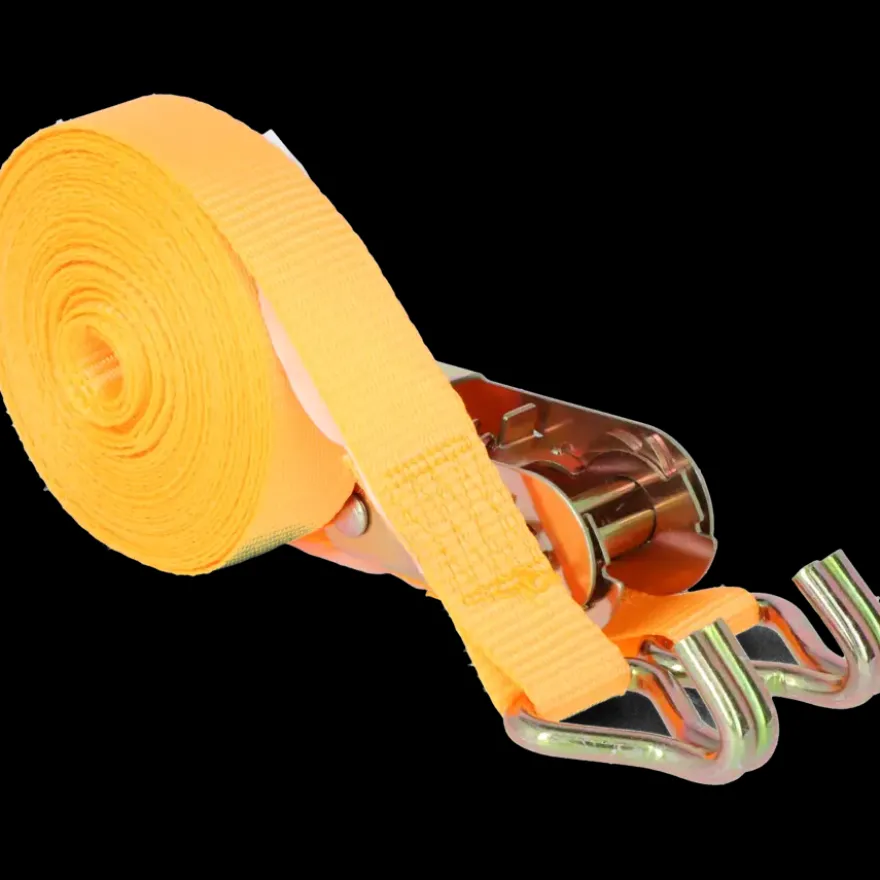 Carpoint Ratel Spanband met Haken 5 Meter