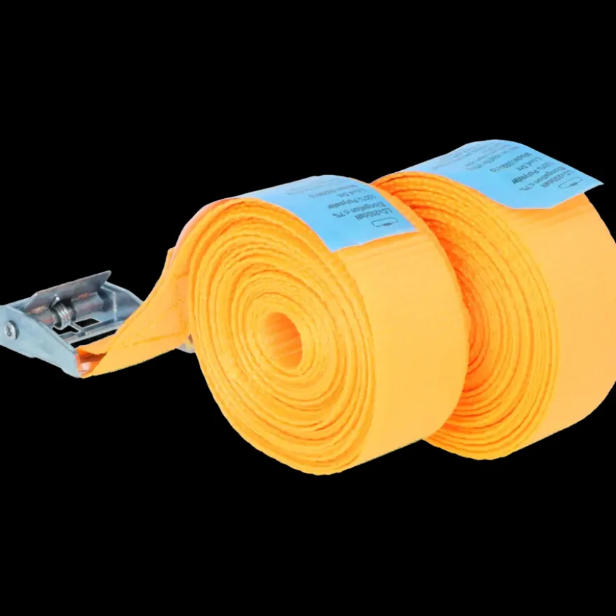 Carpoint Spanbanden 2 x 4,5 meter