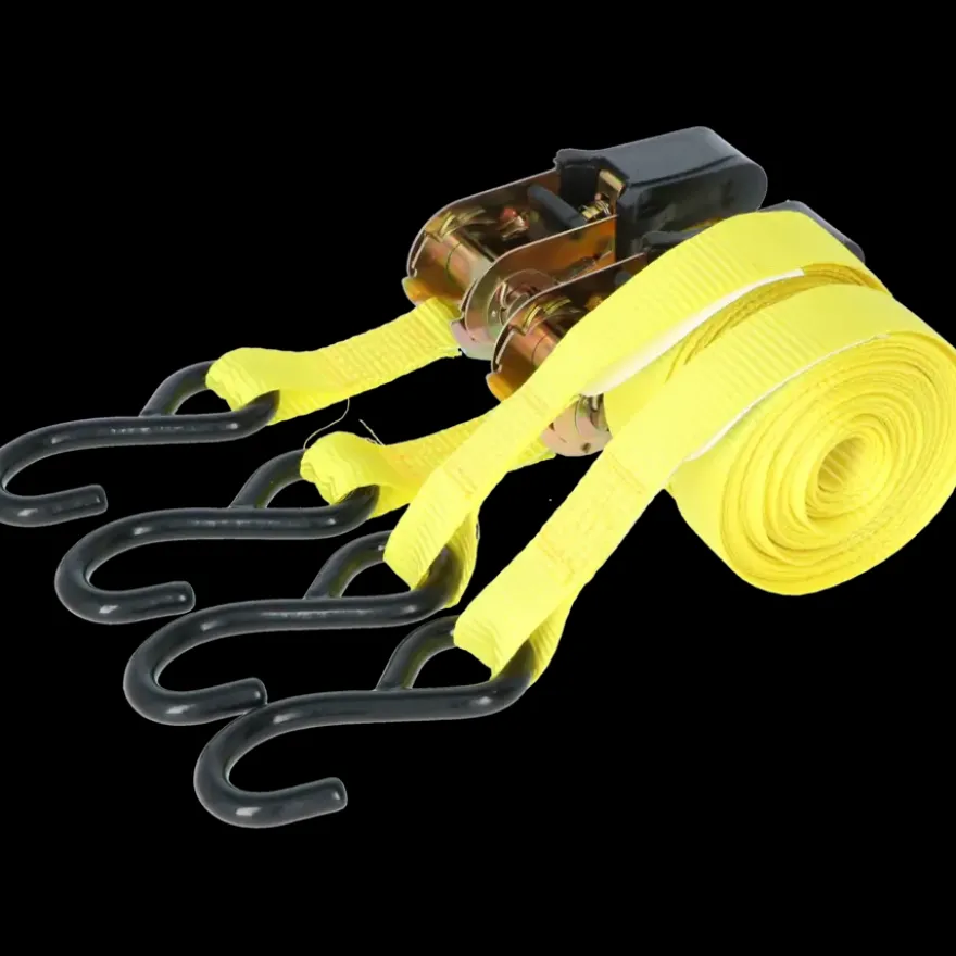 Carpoint Spanbandenset luxe met ratel 2 x 5 meter