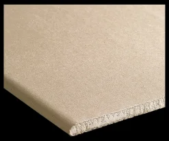 Gyproc gipsplaat stucplaat 40x200 cm dikte 0,95 cm (RK)