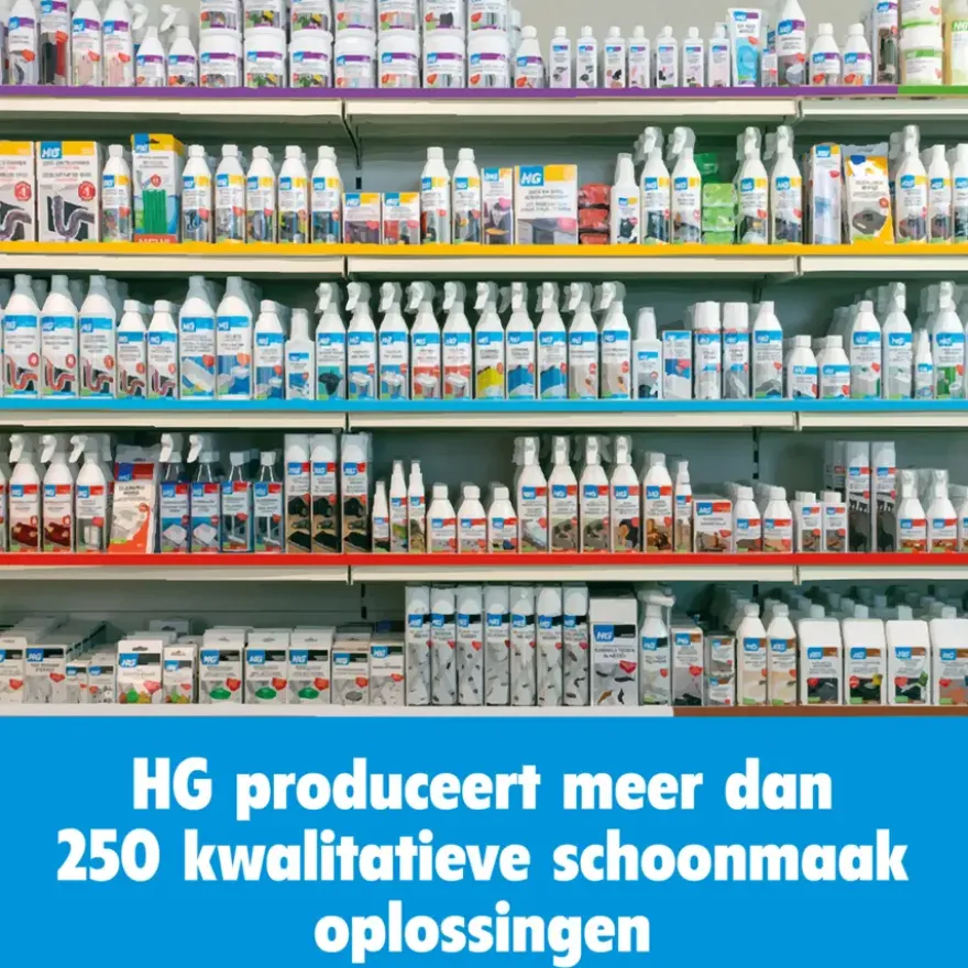 HG roestverwijderaar 500 ml