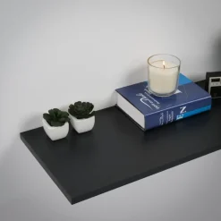 Meubelpaneel zwart ABS 80x40 cm 18 mm