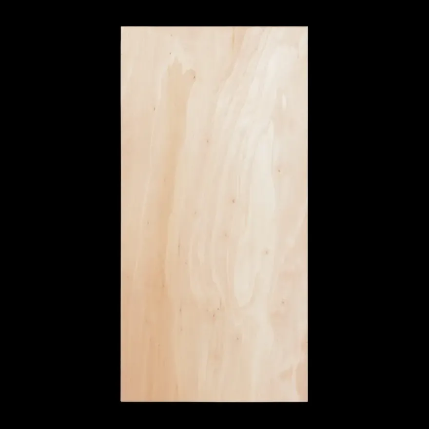 Multiplex plaat hardhout voor binnen 122 x 61 cm 12 mm